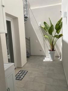 a hallway with a potted plant and a staircase at NOGA rooms in Porto Cesareo +33 photos
