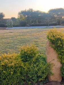 a field with some bushes and a field with the sunset at Pa Vula Hotels Campsite and Gardens in Gaborone