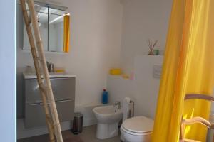 a bathroom with a white toilet and a ladder at Gîte les hortensias in Saint-Moreil +7 photos