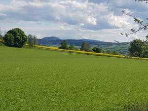 a large green field with mountains in the background at Ferienwohnung am Fuße des Poehlberg in Königswalde