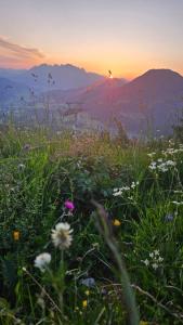 Paesaggio naturale nelle vicinanze dell'appartamento