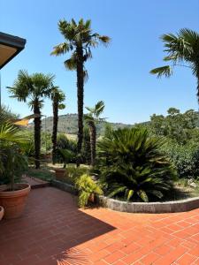 Un jardín con palmeras y un patio de ladrillo. en Happy family house, en Monte San Giovanni Campano