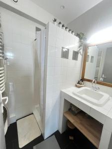 Un baño blanco con lavabo y ducha. en Gare - Visitation grand Appartement , 1 chambre, en Angers