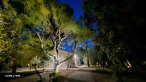 Zahrada ubytování L' Aglandau Au coeur des oliviers en Provence + 4 fotografie