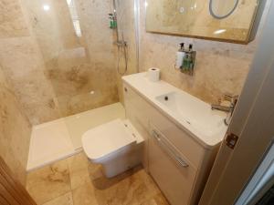 ein Badezimmer mit Toilette, Waschbecken und Dusche in der Unterkunft Cosy Cottage 3 in Durham