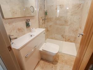 ein Badezimmer mit Toilette, Waschbecken und Dusche in der Unterkunft Cosy Cottage 4 in Durham + 14 Fotos