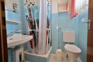 a bathroom with a toilet and a sink and a shower at FeWo Zeidler Nr42 Sol Mare in Kellenhusen
