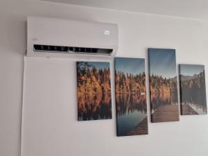 a group of paintings hanging on a wall at Ap CALAS , No1 2A Etajul 1, AC, Free Parking in Râşnov