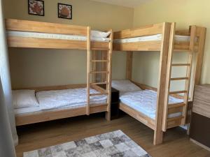 a room with two bunk beds and a rug at Apartmány NETA Velké Karlovice, Polanský Dvůr in Velké Karlovice