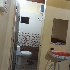 New HampiにあるLily Homestayのトイレ、洗面台、鏡を備えたバスルーム