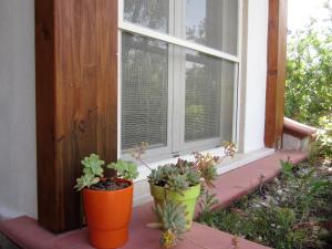 two potted plants sitting on a window sill at B&B Tor Di Lupo in Mattinata