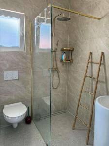 a bathroom with a shower with a toilet and a ladder at Apartment Lana in Makarska
