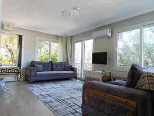 a living room with couches and a flat screen tv at Olive grove mansion - kösedere village in Karaburun +15 photos