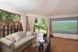 a living room with a couch and a tv at Clouds Safari in Beechmont