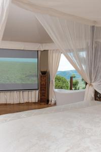 Příroda nedaleko luxury tent