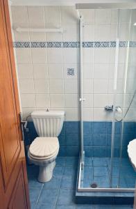 a bathroom with a toilet and a shower at Anatèlia Beach House in Portianón