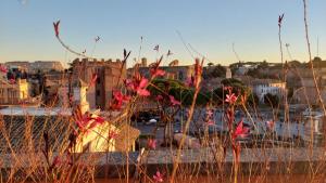 a field of flowers with a city in the background at Residenza Maritti Decò Style- Guesthouse in Rome