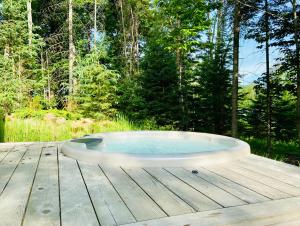 Příroda nedaleko chaty