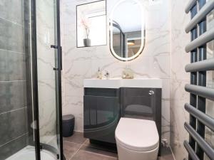 a bathroom with a toilet and a sink and a mirror at Lilly's Cottage in Dawlish +29 photos
