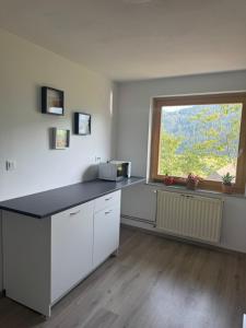 a kitchen with a counter top and a window at Apartma Petra in Selca