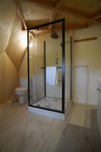 a bathroom with a glass shower in a attic at L'Orée des 4 chemins in Fontenoy +131 photos
