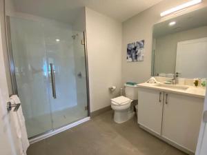 a bathroom with a shower and a toilet and a sink at Spacious Apt Downtown in Quincy