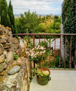 a balcony with flowers in a pot on a porch at La Terrasse des Moulins Maison de Charme in Saint-Félix-Lauragais