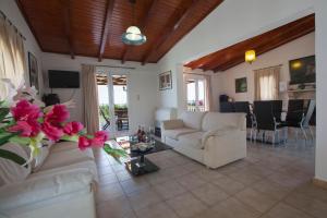 Μια τηλεόραση ή/και κέντρο ψυχαγωγίας στο Villa Nefeli
