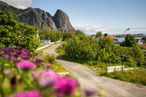 a dirt road with flowers and mountains in the background at Reinefjorden Family House in Reine