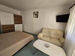 a small room with a bed and a couch at Maja in Kolan +1 photo