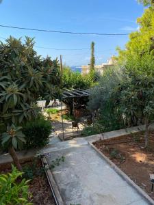 a garden with trees and a walkway at Sunny summer house with sea view in Koropíon