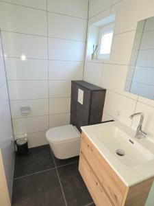 a bathroom with a white toilet and a sink at Nieuwe vakantie woning Serooskerke in Serooskerke