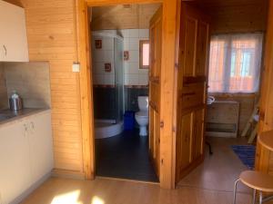 a bathroom with a toilet and a shower in a cabin at Plażowa Domki in Mielenko +60 photos