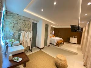 TV a/nebo společenská místnost v ubytování Charme Pousada Boutique & Spa