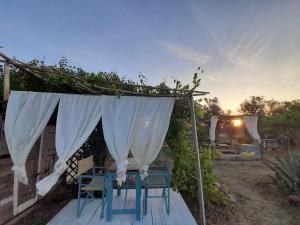 En have udenfor Casa Primera Sostenibile + 75 billeder