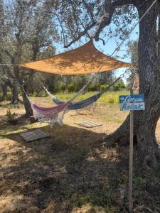 En have udenfor Casa Primera Sostenibile