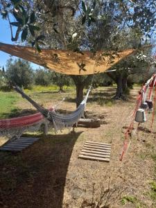 En have udenfor Casa Primera Sostenibile