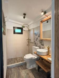 a bathroom with a toilet and a sink at Stone Village Transfagarasan in Oeștii Ungureni