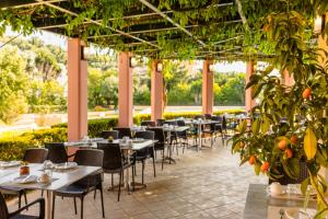 Zahrada ubytování Century Resort