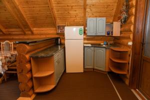 Kuchyň nebo kuchyňský kout v ubytování Guest House Sofia