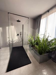 a bathroom with a glass shower with two plants at JR HOME Apuania in Massa