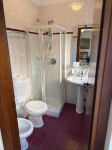 Koupelna v ubytování Hotel Benacus
