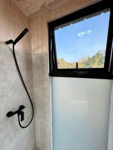 a shower in a bathroom with a window at Cabaña bosque con Vista Increíble, Tinaja y WiFi in Cobquecura