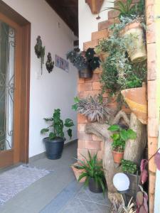 Taman di luar Loft Alto da Glória