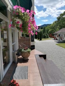 Κήπος έξω από το Chalet Zolota Pidkova & River