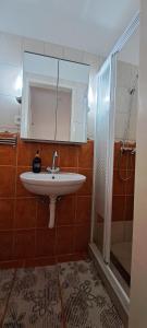 a bathroom with a sink and a shower at Anna's House in Bük +34 photos