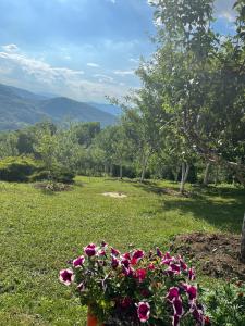 Galeriebild der Unterkunft Semizovac Holiday House 