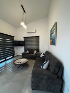 Χώρος καθιστικού στο Emily's one bedroom flat