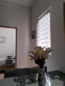 Fotografie z fotogalerie ubytování Išić apartmani v destinaci Veliko Gradište