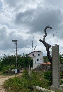 a sculpture of a tree in front of a building at Villa Luisa in Juan de Acosta